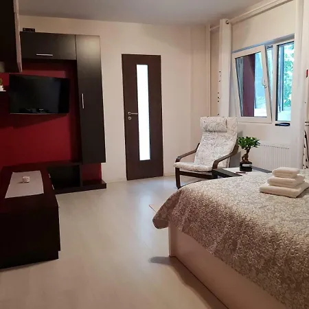 Lia Studio - Tineretului Apartman *